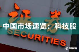 中国市场速览：科技股